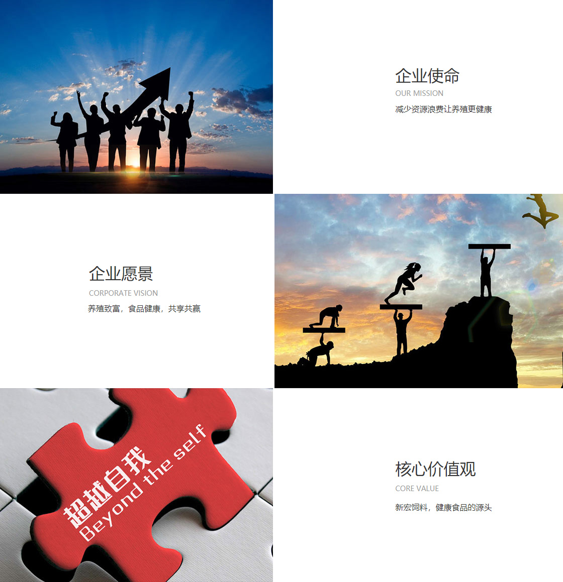 开云（中国）Kaiyun(图1)